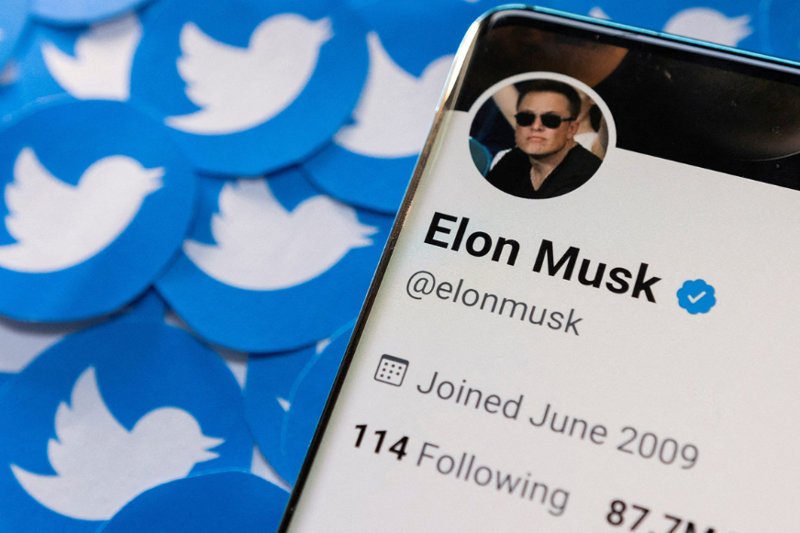 Elon Musks Twitter Account auf einem Handy, im Hintergrund die Twitter Vögelchen